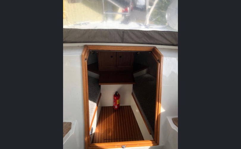 Albatross Flying 870-kuva-2